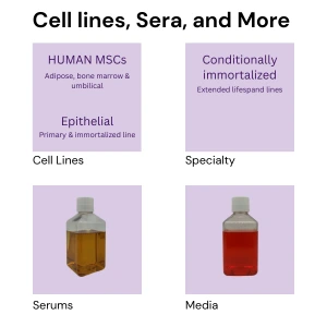 Cell lines, sera, and more